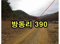 춘천1-2.jpg