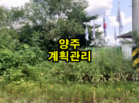 양1-1.png