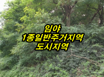 강1-2.png