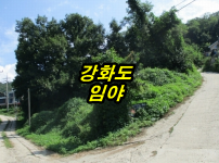 강1-3.png