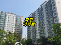 금아1-2.png